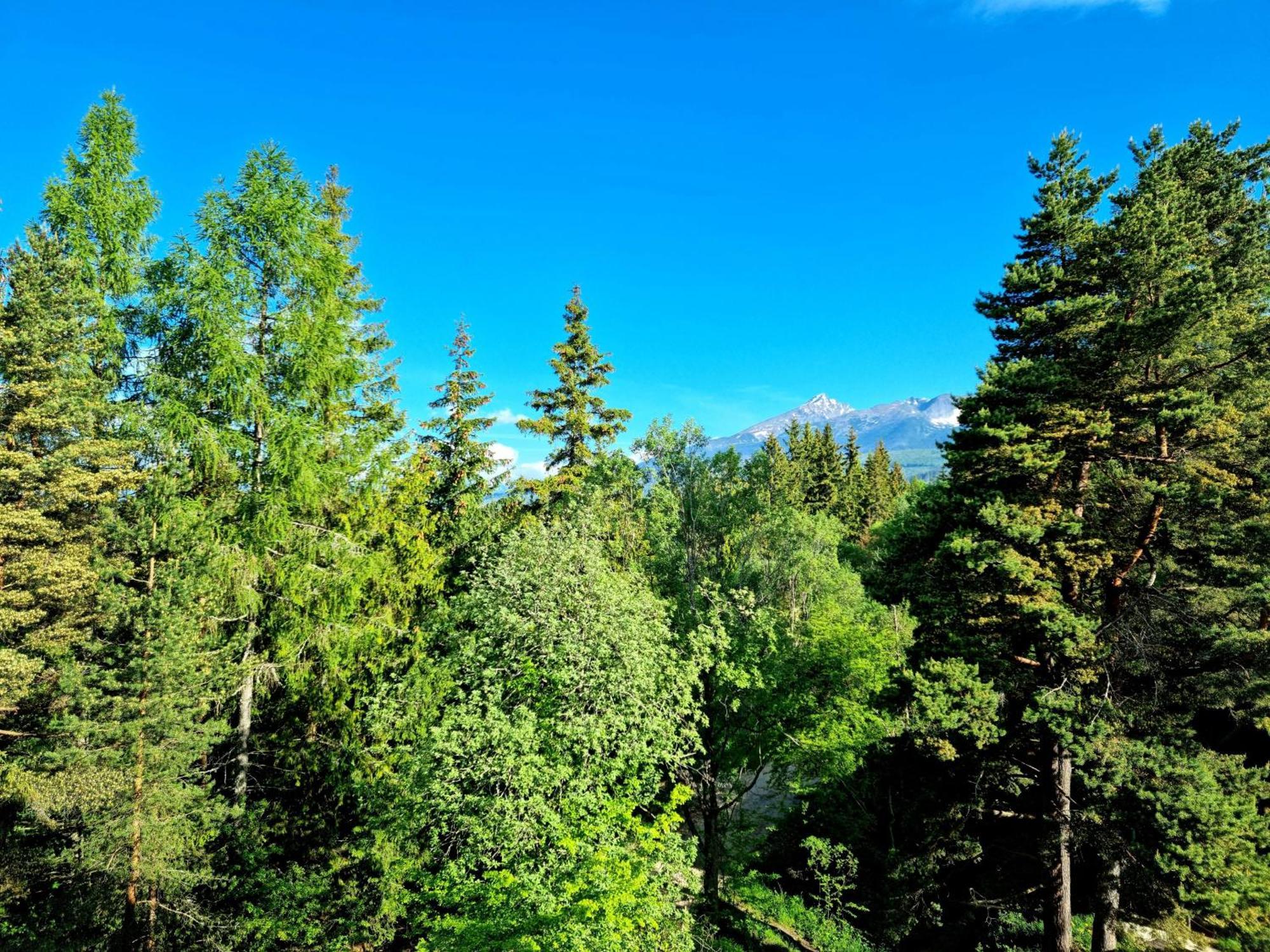Monte Amnis Apartment Štrbské Pleso Екстериор снимка